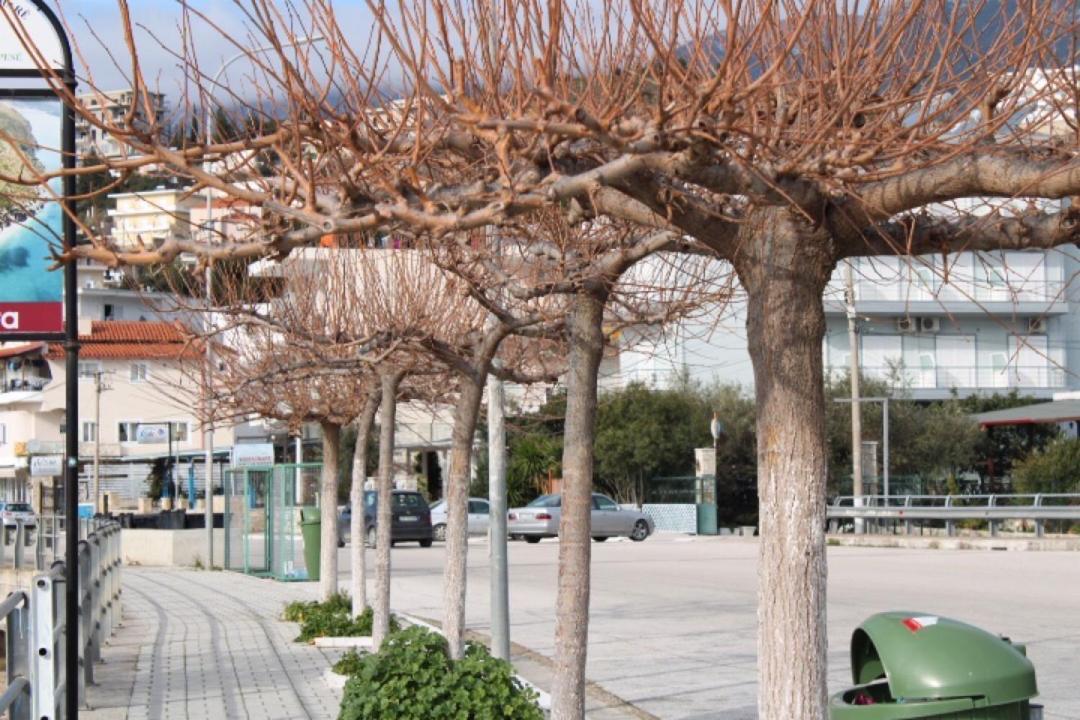 הימארה Hotel Portokali מראה חיצוני תמונה