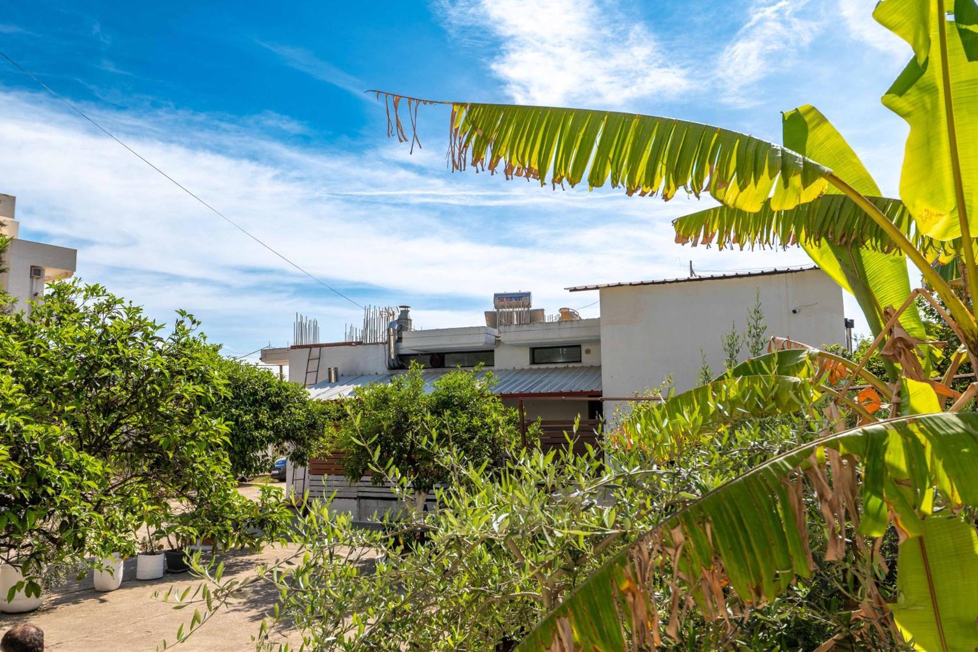 הימארה Hotel Portokali מראה חיצוני תמונה